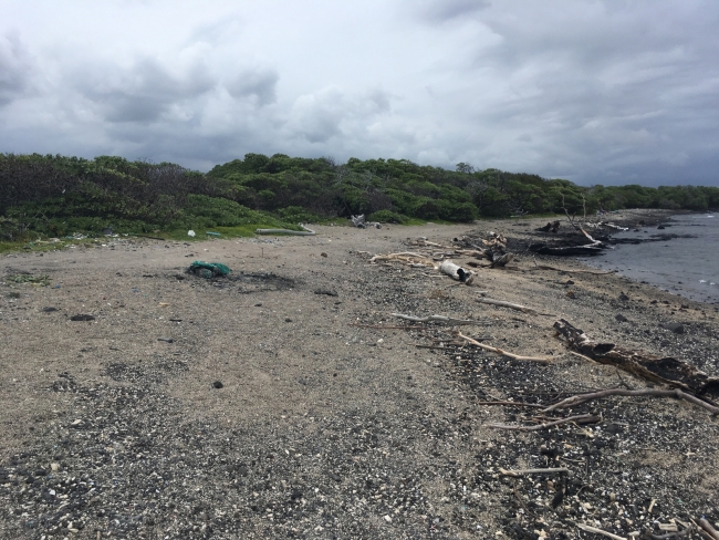 A debris free stretch of beach. 
