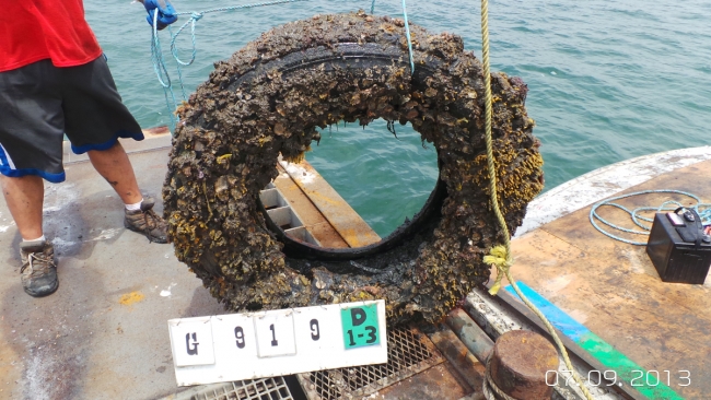 A tire covered in biofouling.