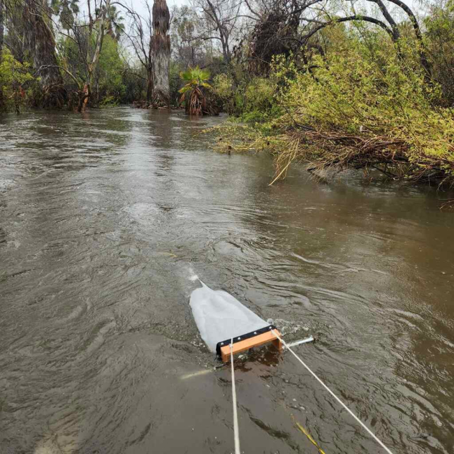 A net sampling device deployed in a river surrounded by greenery.