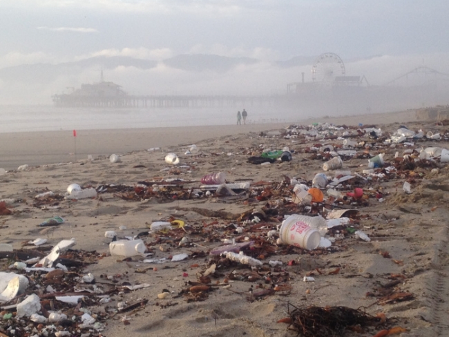 A beach littered with marine debris.