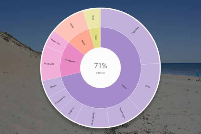 A data visualization of marine debris recorded at a beach during a survey.