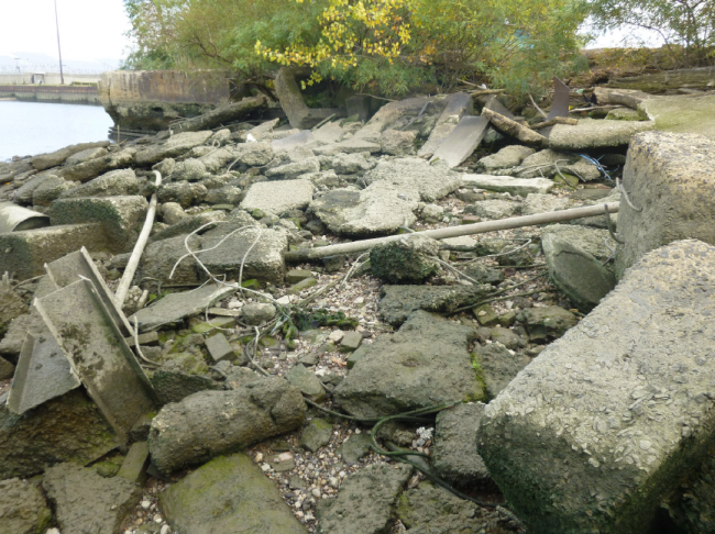 Ropes and other debris scattered along a rocky shore. 
