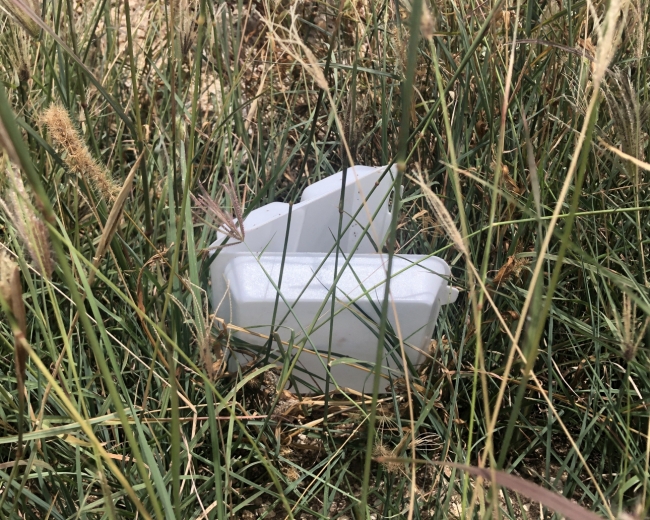 A polystyrene takeout container littered in grass.