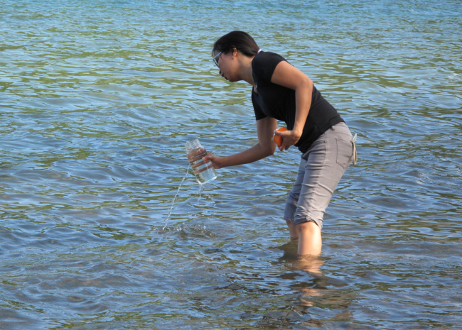 A person standing in calf-deep water off the shore and holding a container to sample the water.