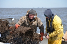 Watermen toss a derelict crab pot (Photo: Elizabeth Zimmerman, Stockton University).