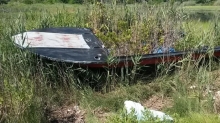 An abandoned boat left in a marsh grows marsh grass.
