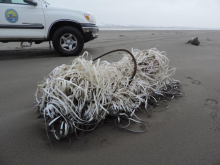 A large tangle of packing straps on a beach.