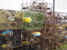 A pile of derelict crab traps.