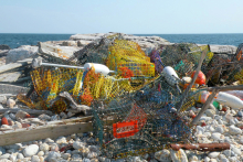 A pile of derelict fishing gear on a rocky shore, including wire traps and foam floats.
