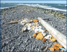 Foam debris on a beach.