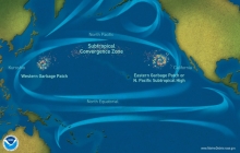 Graphic image of the Great Pacific Garbage Patch in a gyre.