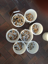 Seven large plastic buckets filled with cigarette butts.