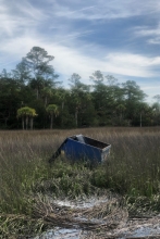 A dumpster partially submerged in a marsh. 