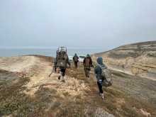 Removal team members hiking down to the shoreline of Santa Rosa Island. 