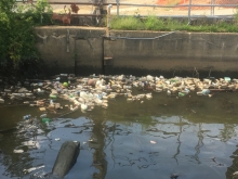 Plastic bottles floating in a river. 