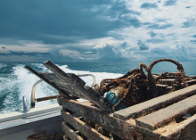 A pile of recovered derelict fishing gear piled at the back of a boat headed back to shore.
