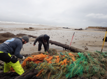 Two people cleaning up nets on a beach.