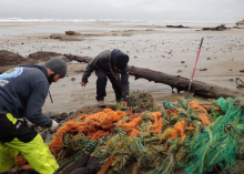 Two people removing derelict fishing nets from a beach.
