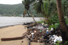 Take out containers, plastic bottles, and other trash mixed in with natural debris on a beach in American Samoa.