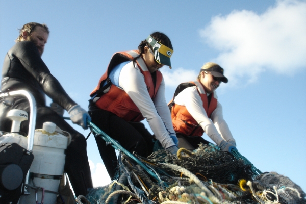 Members of a NWHI removal mission haul derelict nets into a boat for removal.